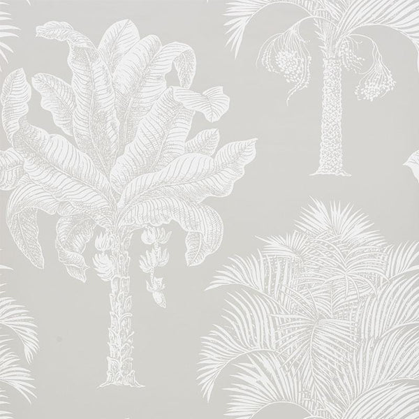 Schumacher Grand Palms Wallpaper Dove